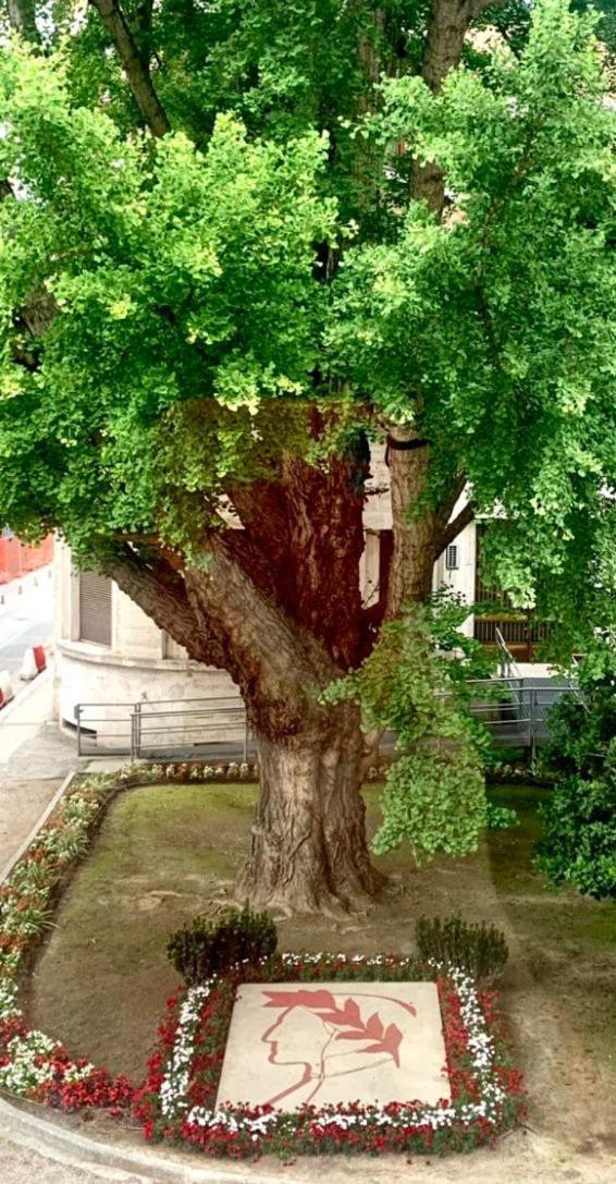 Ravenna Suite Bagian luar foto